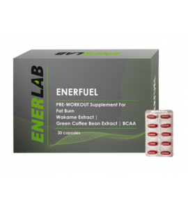 Enerfuel Enerfuel